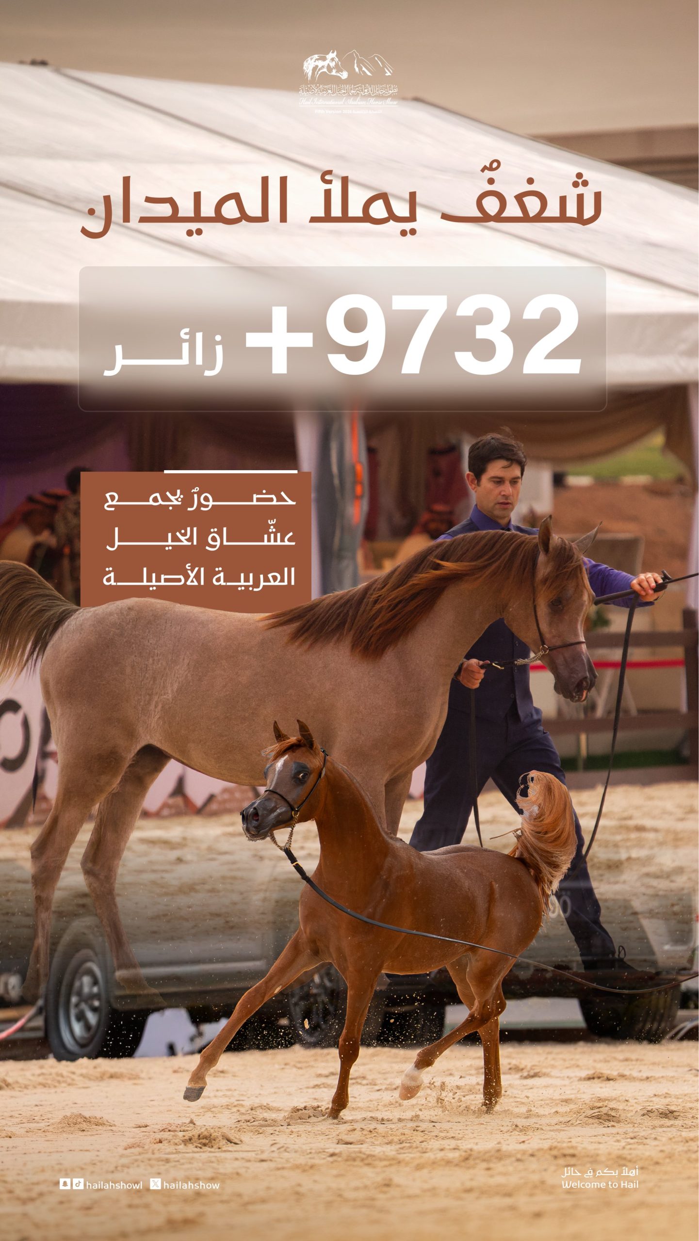 أكثر من 280 جوادًا في بطولة حائل الدولية لجمال الخيل العربية