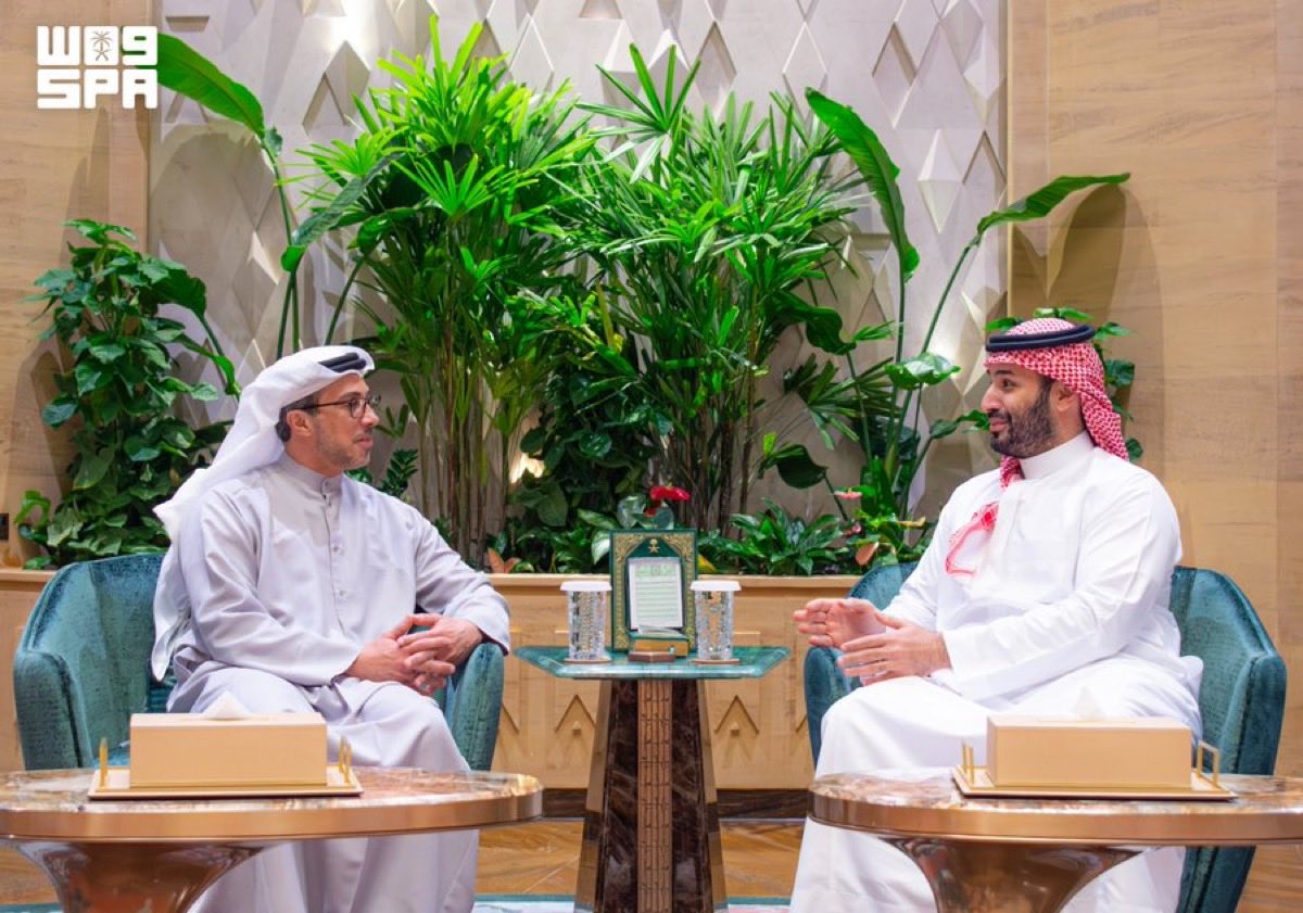 Crown Prince meets Sheikh Mansour bin Zayed Al Nahyan