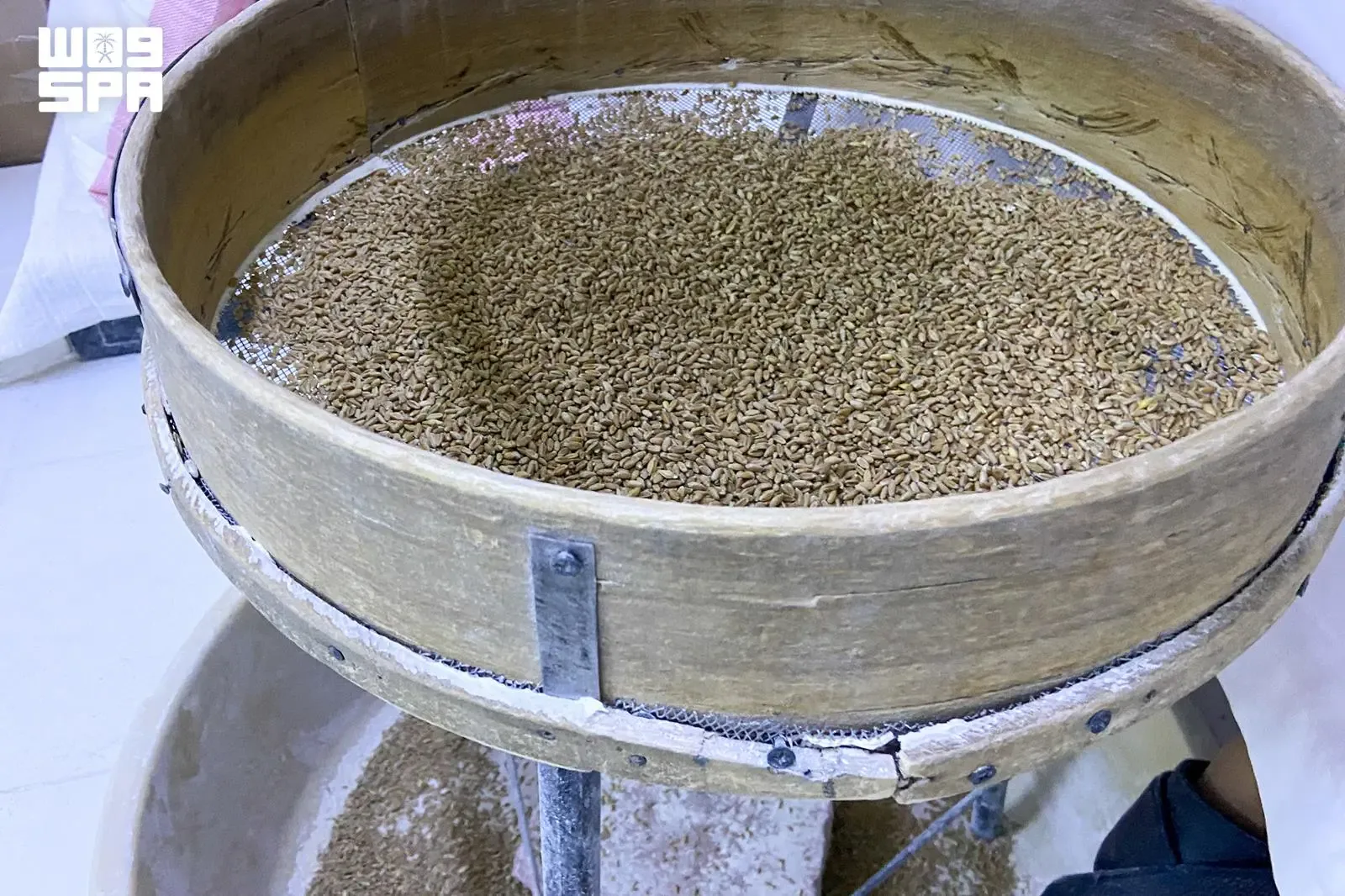 الرحى والمنخل يرويان ذاكرة إعداد الحبوب في القصيم